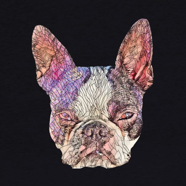 Boston Terrier by DoggyStyles